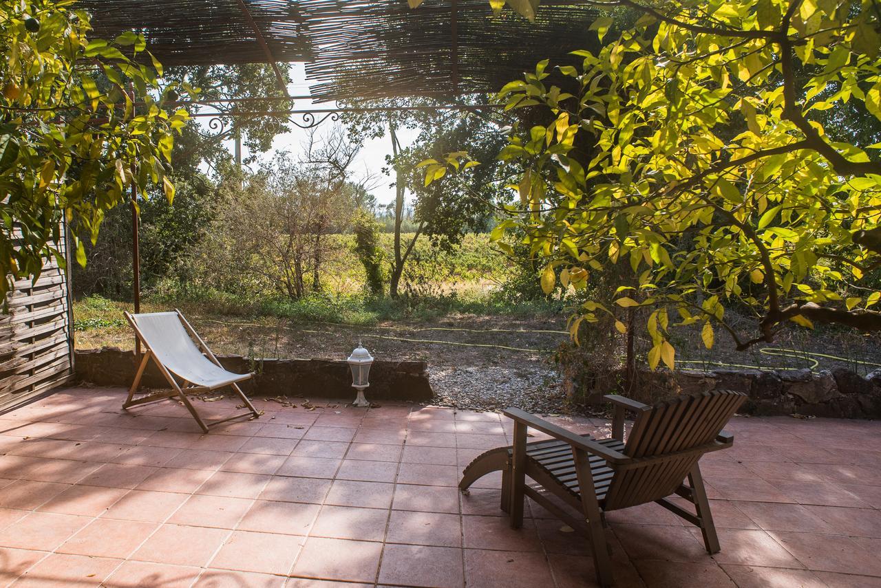 Apartmán Domaine De La Marseillaise La Crau Exteriér fotografie
